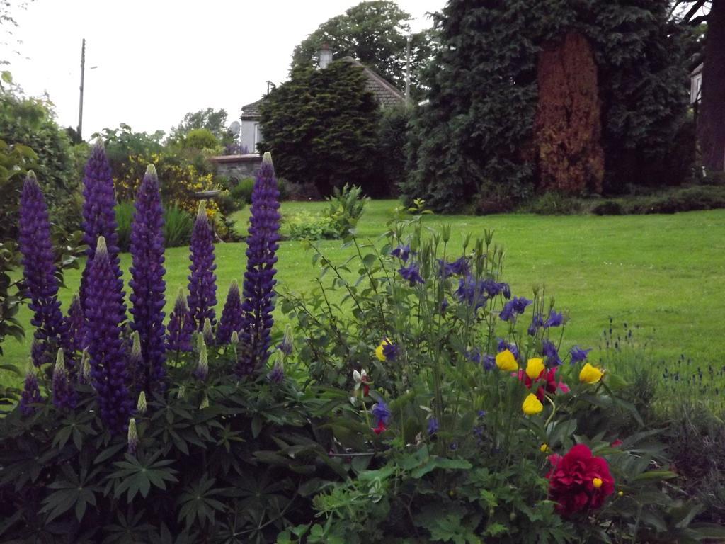 Hillcrest House Newton Stewart Εξωτερικό φωτογραφία