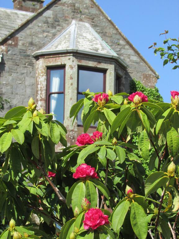 Hillcrest House Newton Stewart Εξωτερικό φωτογραφία